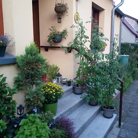 아파트 Mohr - Gemuetlichkeit Im Souterrain *