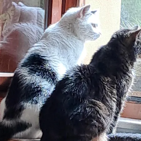 Mohr - Gemuetlichkeit Im Souterrain Wiesenburg