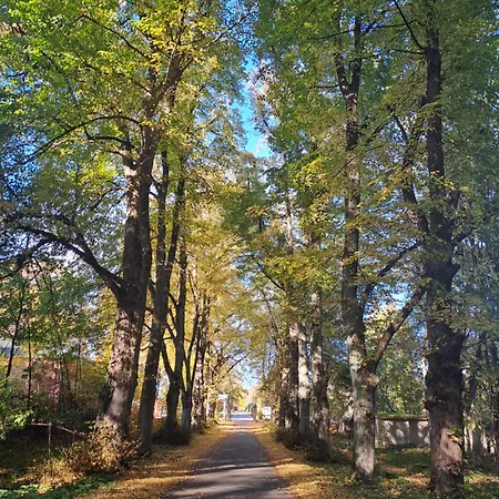 Mohr - Gemuetlichkeit Im Souterrain Διαμέρισμα *