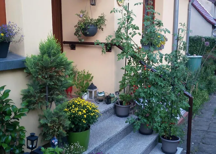 Daire Mohr - Gemuetlichkeit Im Souterrain *