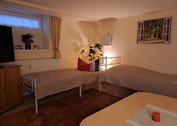 Daire Mohr - Gemuetlichkeit Im Souterrain