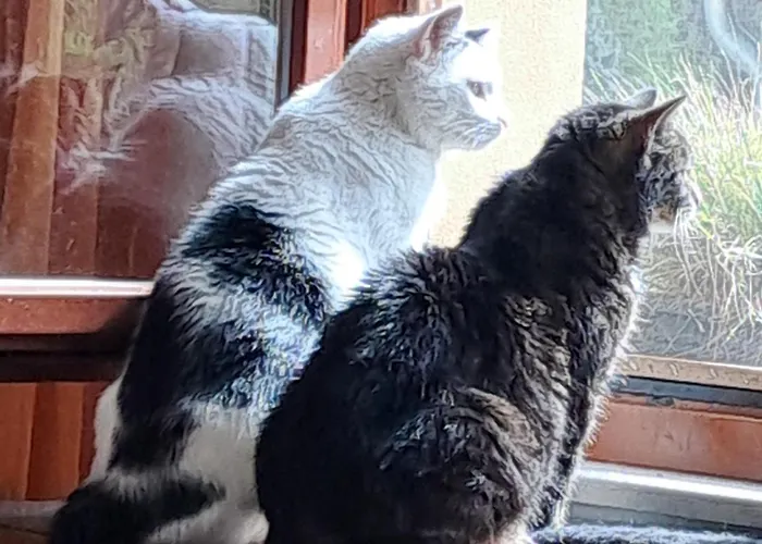 Mohr - Gemuetlichkeit Im Souterrain Wiesenburg