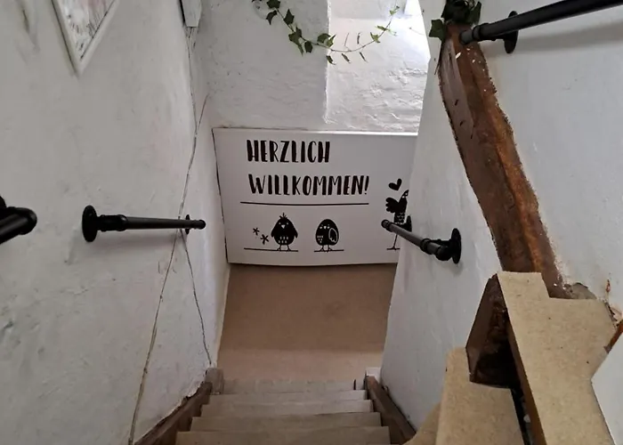 Daire Mohr - Gemuetlichkeit Im Souterrain