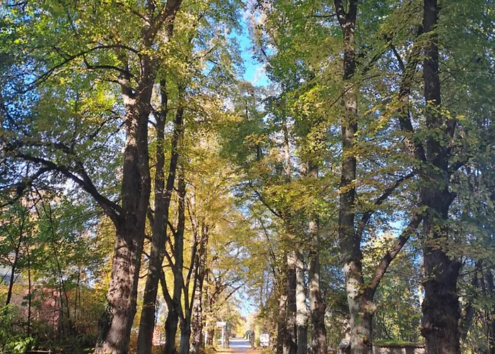 Mohr - Gemuetlichkeit Im Souterrain Daire *